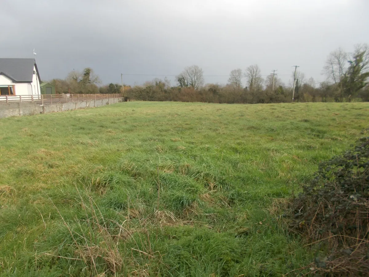 1.16 Acre Site in Shangarry, Ballingarry - Image 4