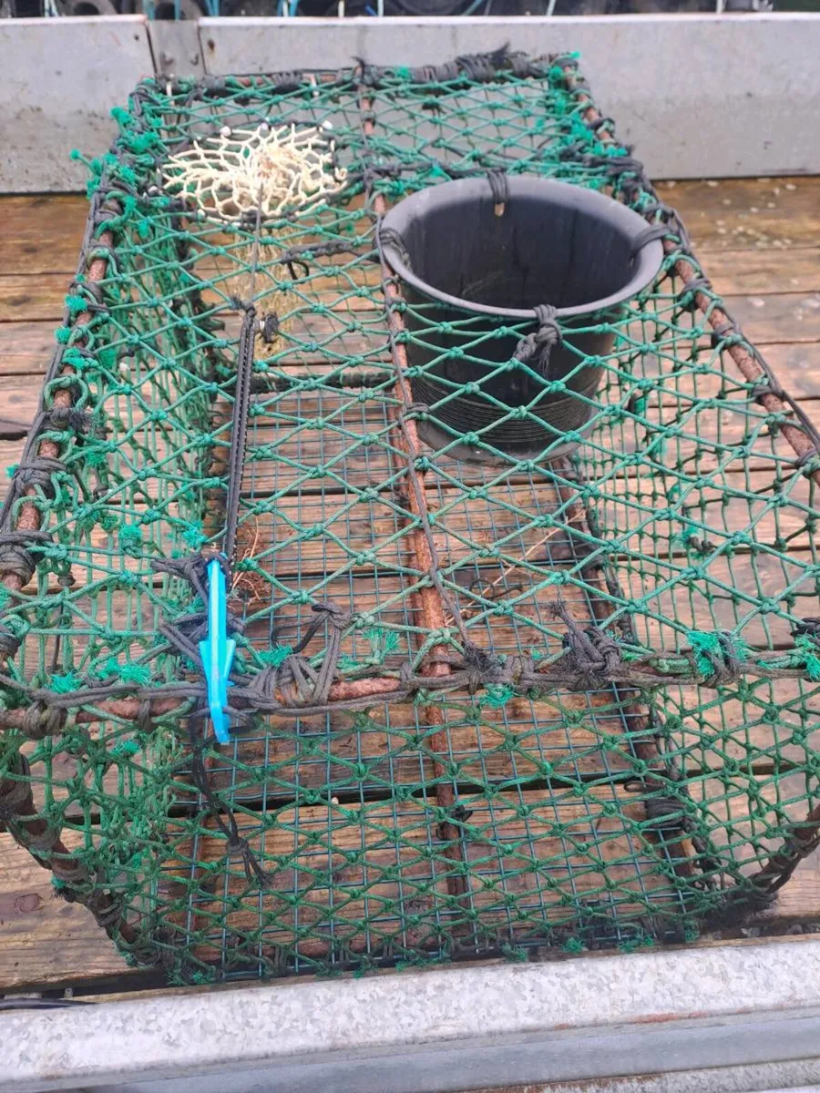 12 Lobster pots - Image 2