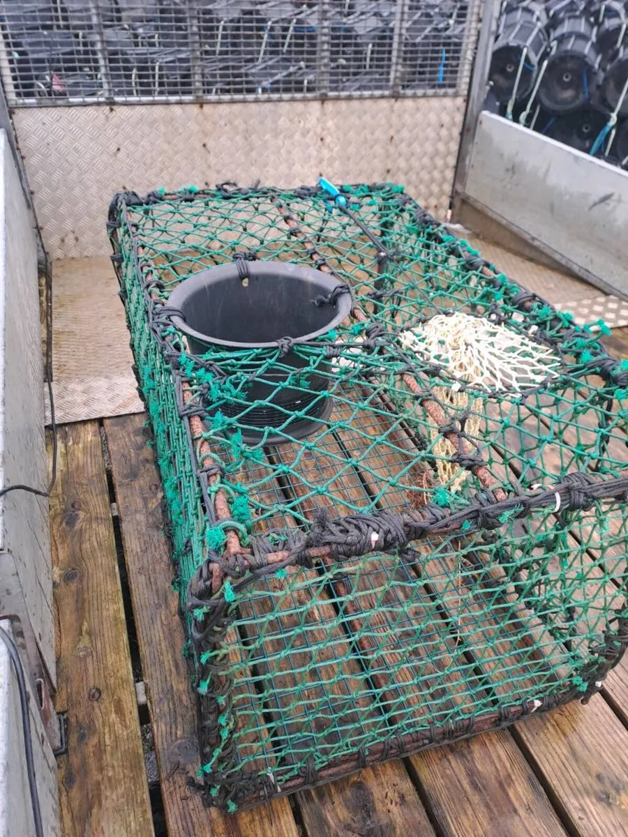 12 Lobster pots - Image 1