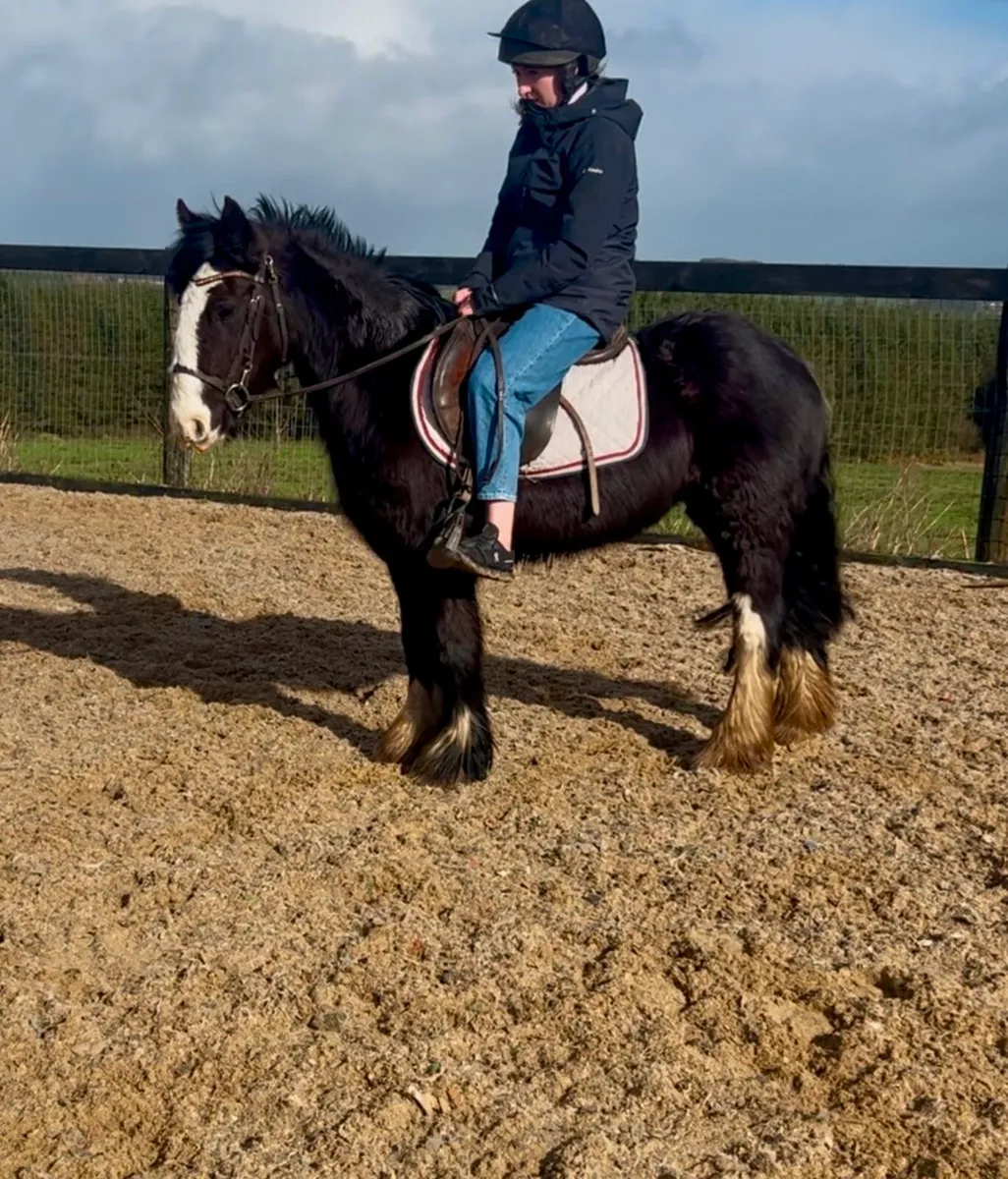 Perfect starter pony ⭐️ - Image 2