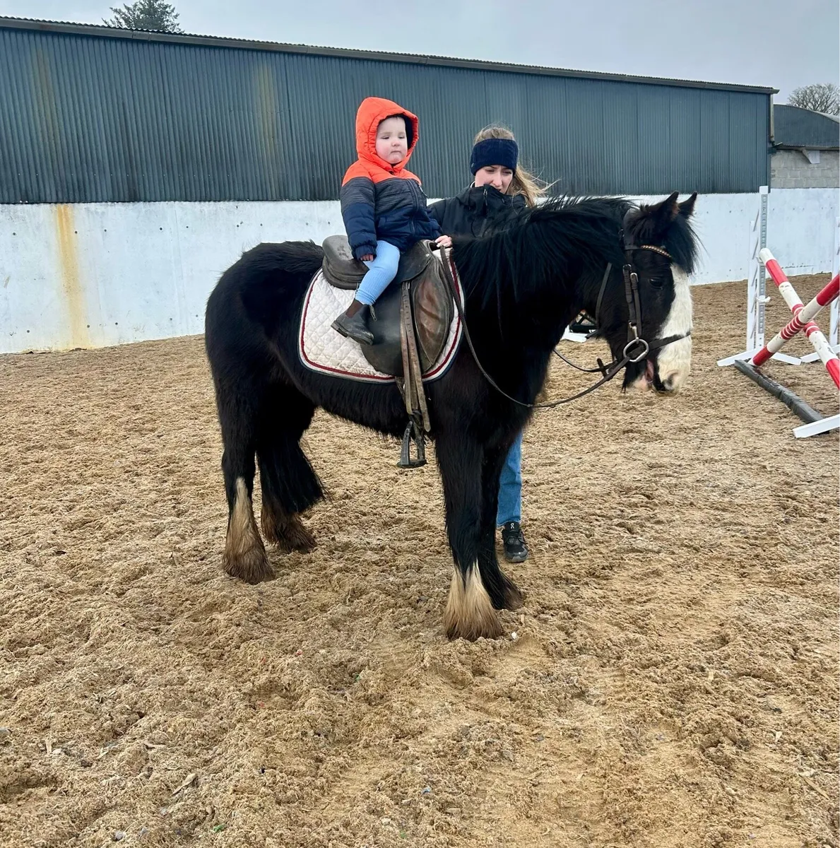 Perfect starter pony ⭐️ - Image 1