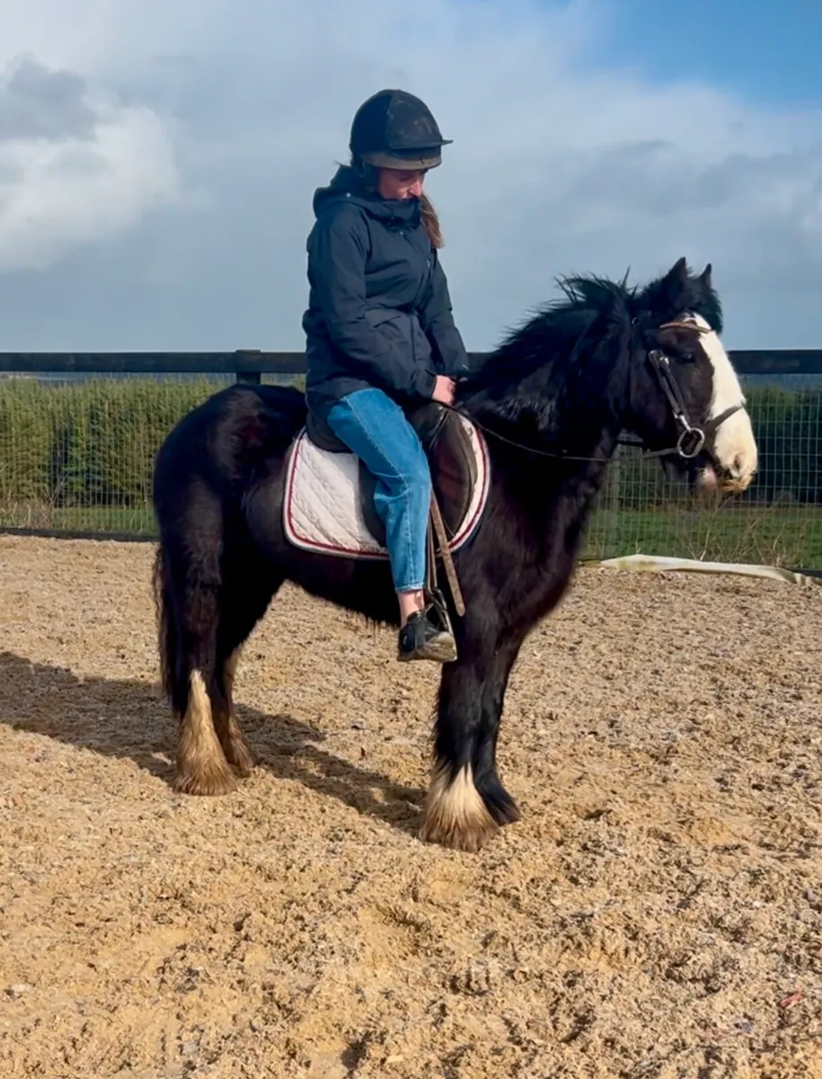 Perfect starter pony ⭐️ - Image 4