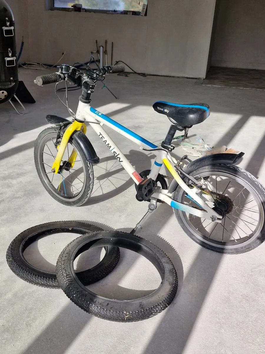 Frog 48 - Kids bike - Image 1