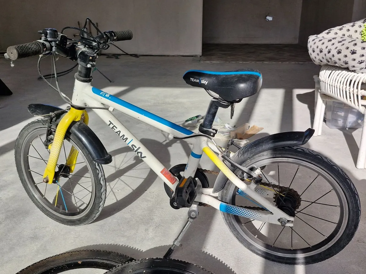 Frog 48 - Kids bike - Image 2