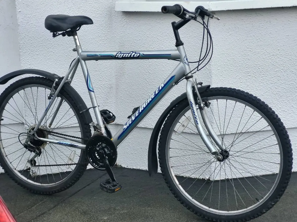 GUYS LARGE BIKE - Image 1