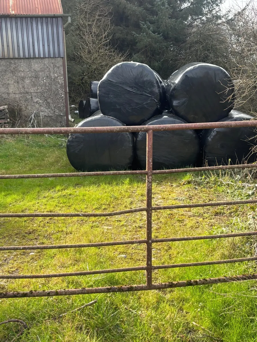 Silage bales