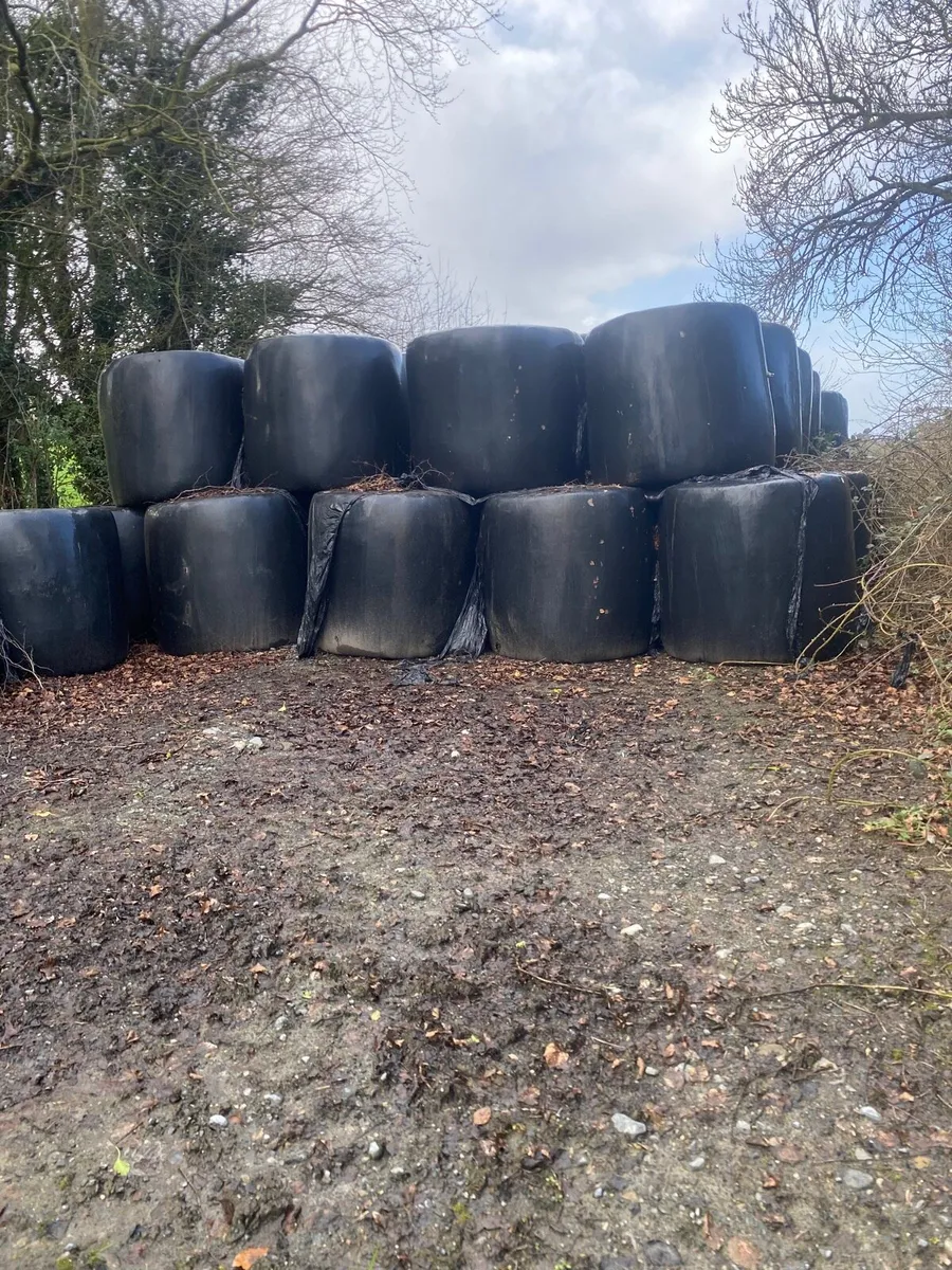 Silage bales