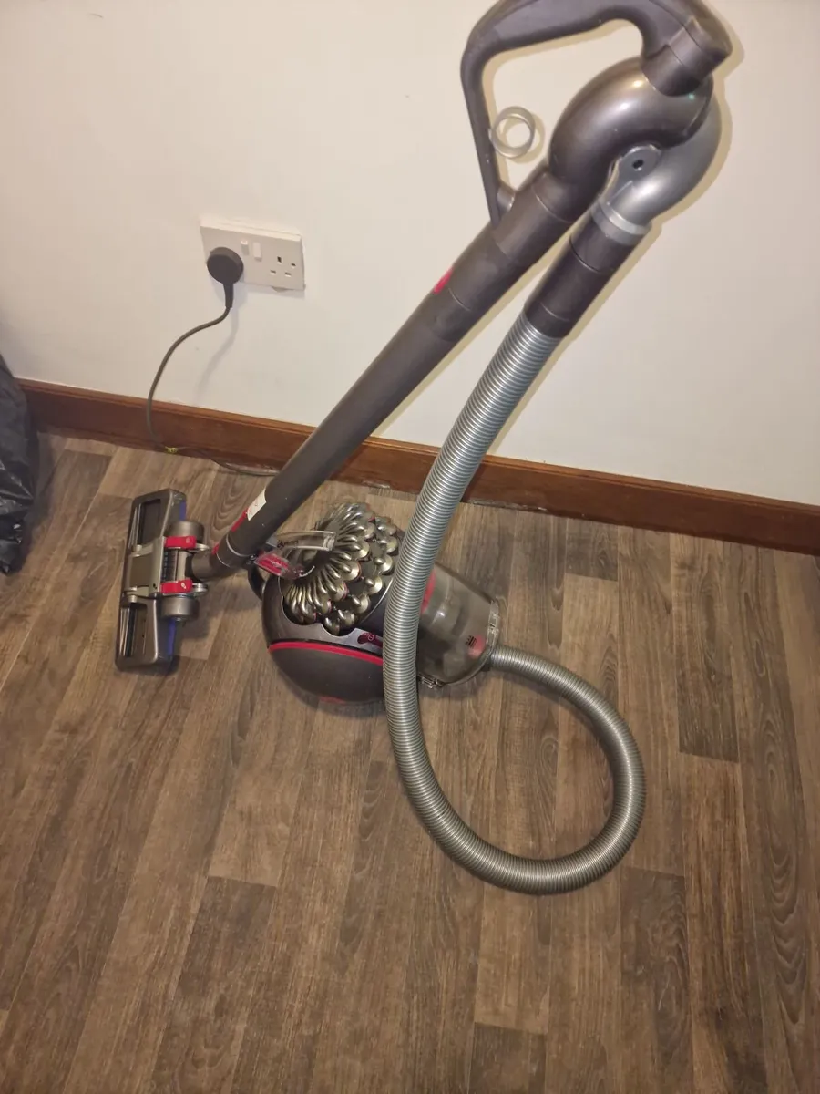 Dyson Cinetik Big Ball Animal 2 - Image 1
