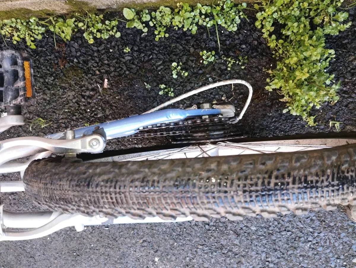 Kids 20inch bike - Image 4