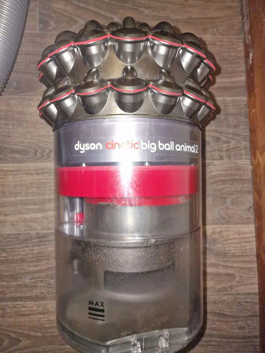 Dyson Cinetik Big Ball Animal 2 - Image 3