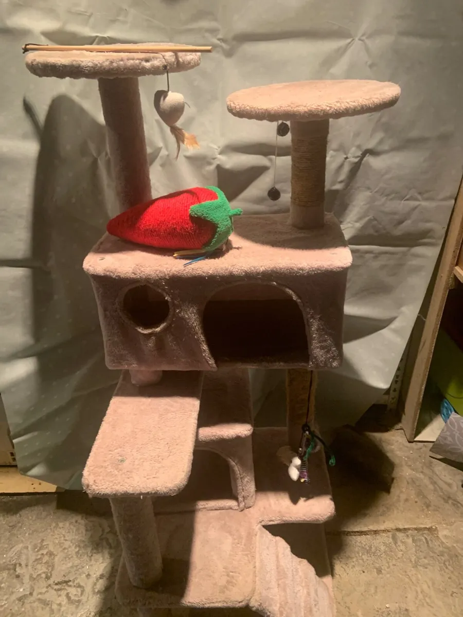 Cat tree and toys - Image 1
