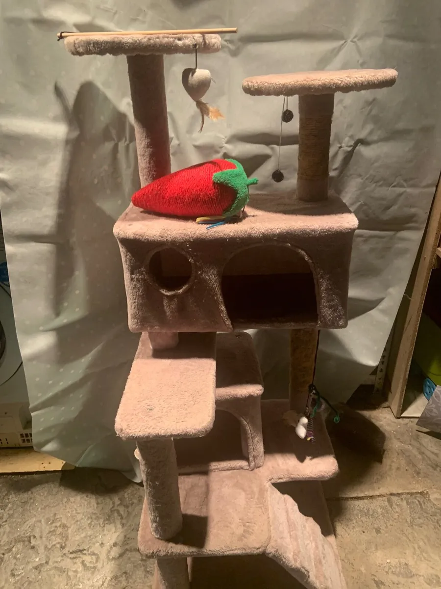 Cat tree and toys - Image 2