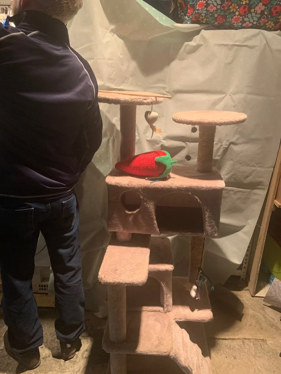 Cat tree and toys - Image 4