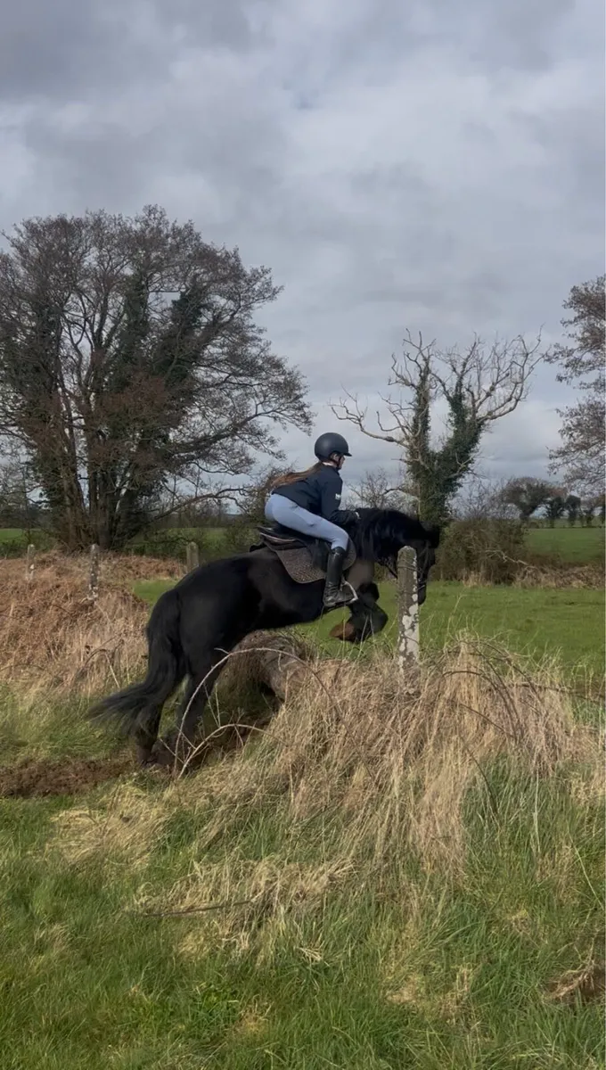 💫beauty 132cm kids pony💫 - Image 3