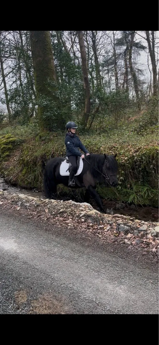 💫beauty 132cm kids pony💫 - Image 4