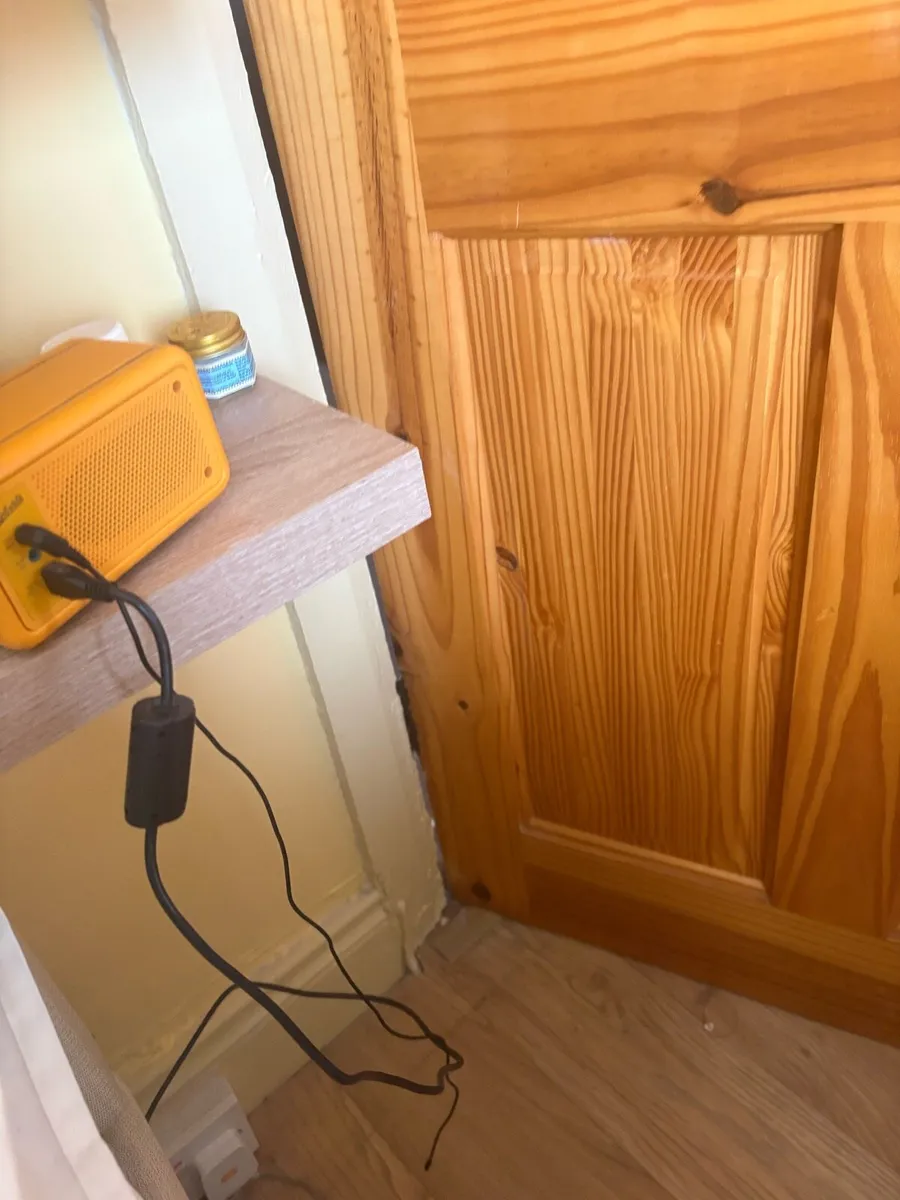 Robert’s  Rev petite 2DP radio - Image 3