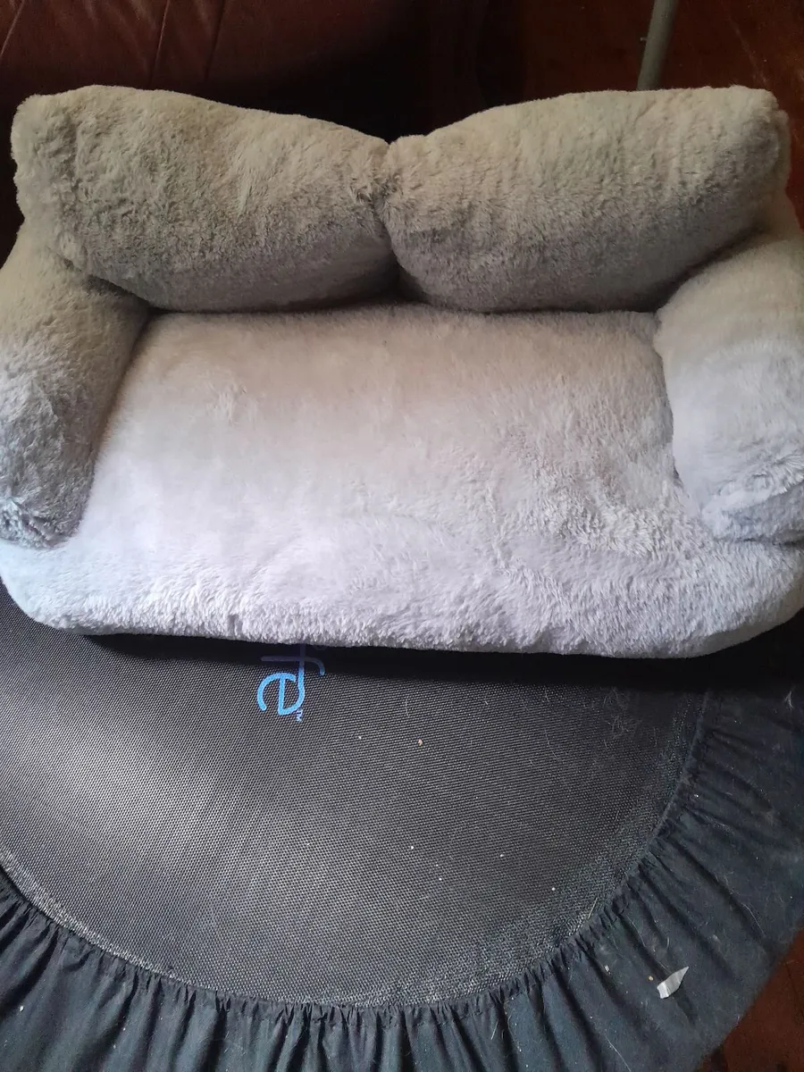 Cat toys and food - Image 1