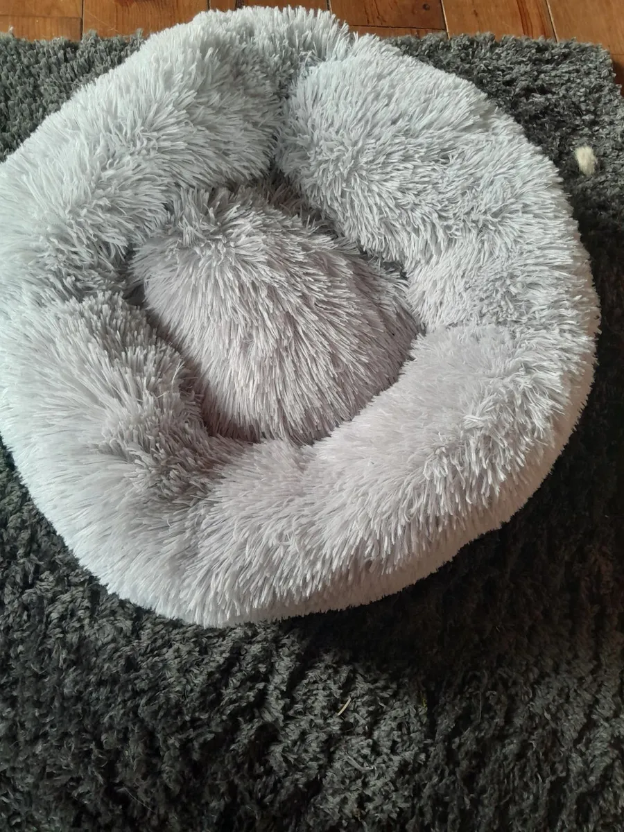 Cat toys and food - Image 2