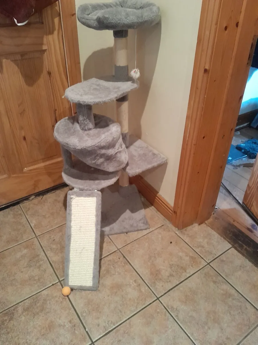 Cat toys and food - Image 3