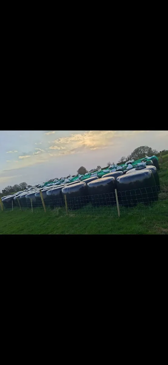 Silage Bales - Image 1