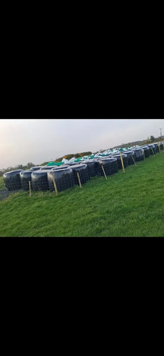 Silage Bales - Image 2