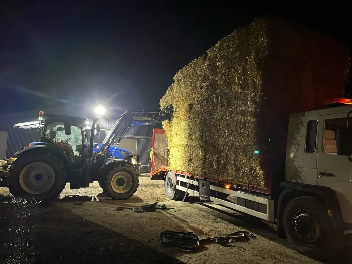 8x4x3 barley straw  delivered - Image 4