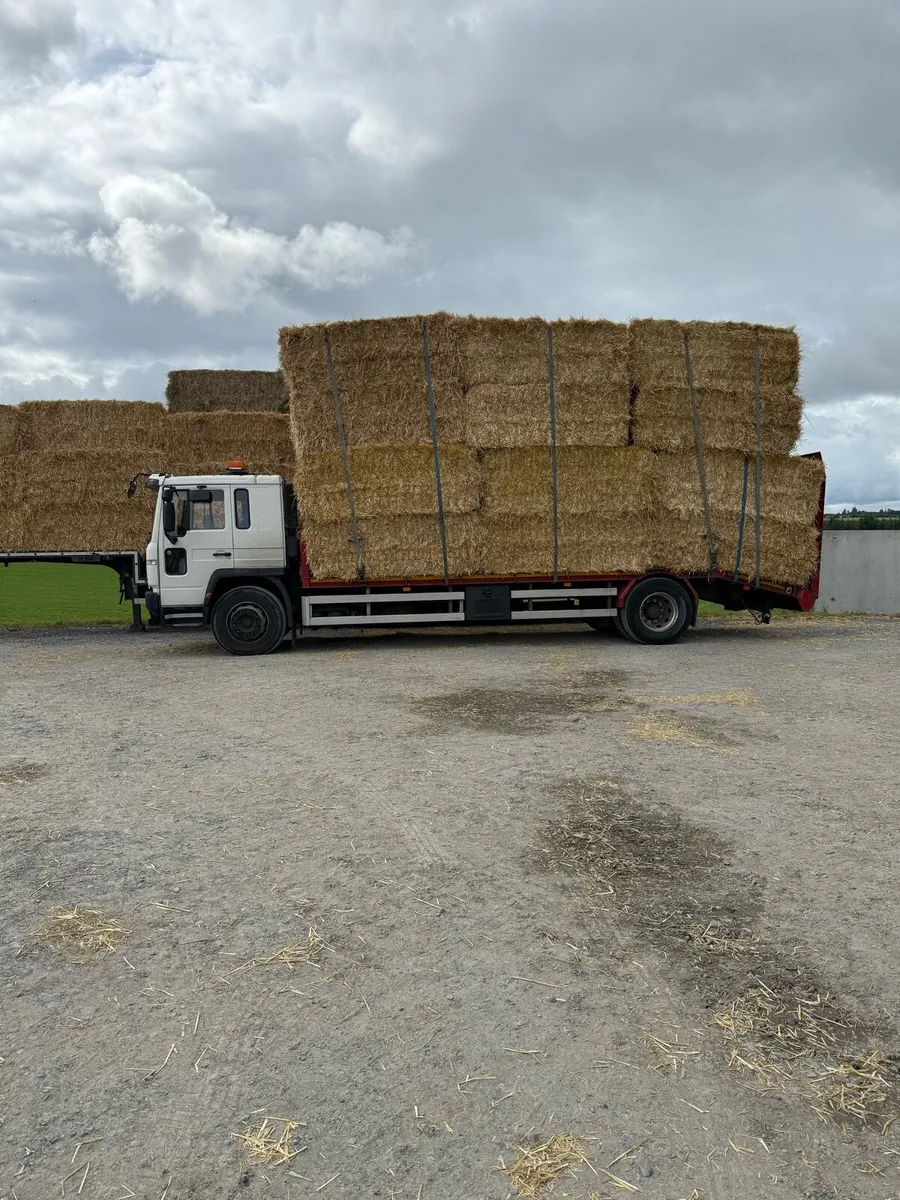 8x4x3 barley straw  delivered - Image 2