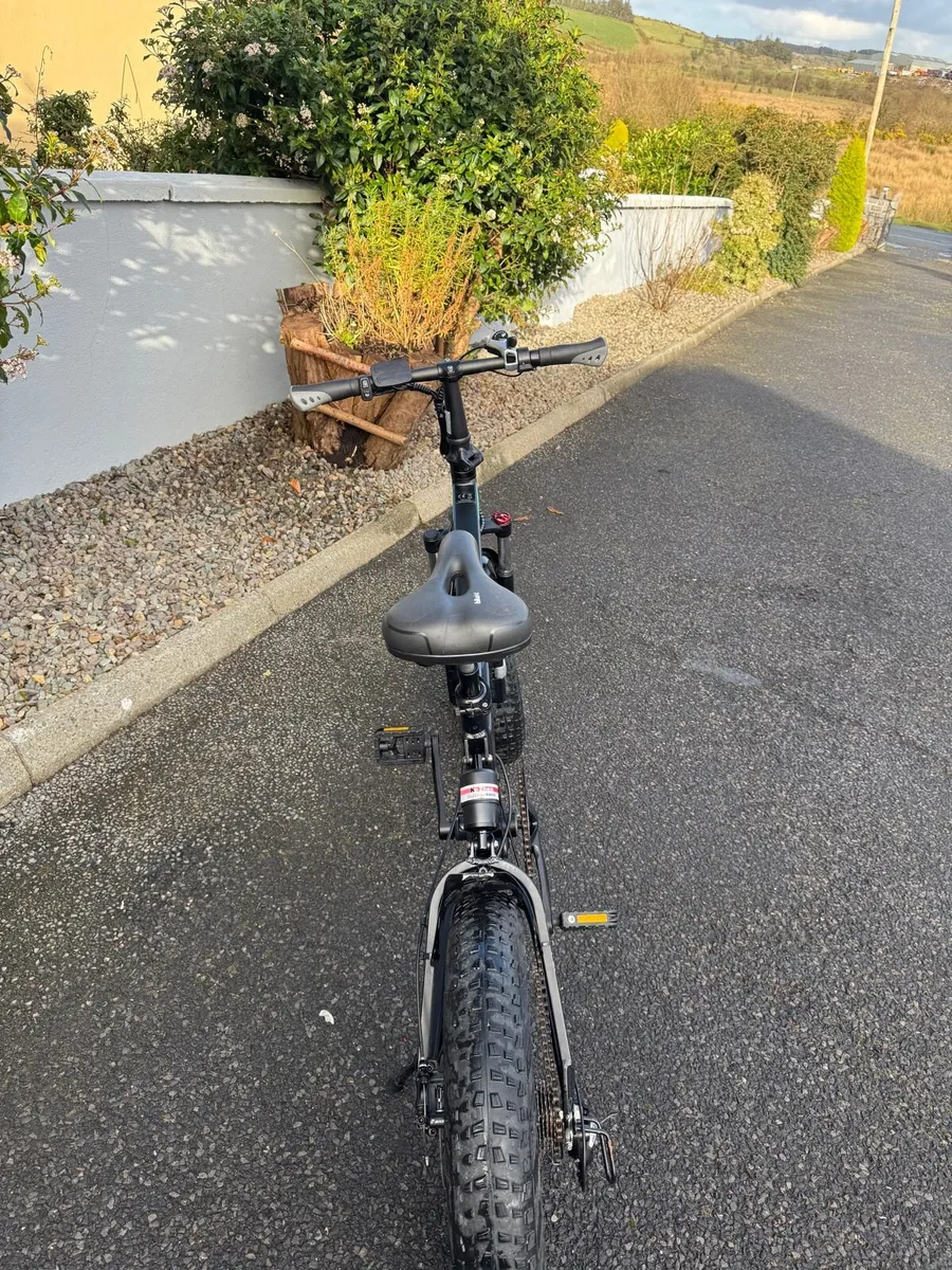 Fiido M1 Ebike - Image 4