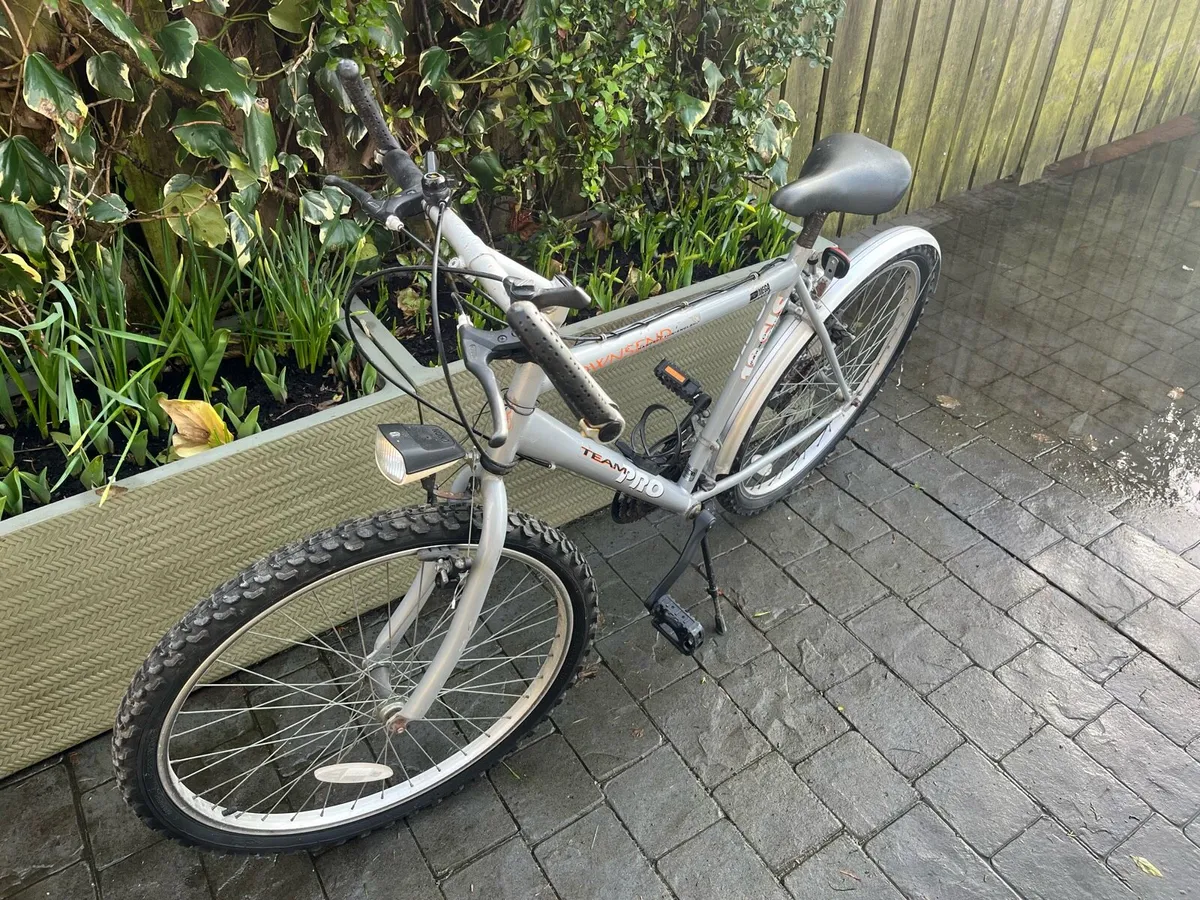 Mountain bike - Image 1