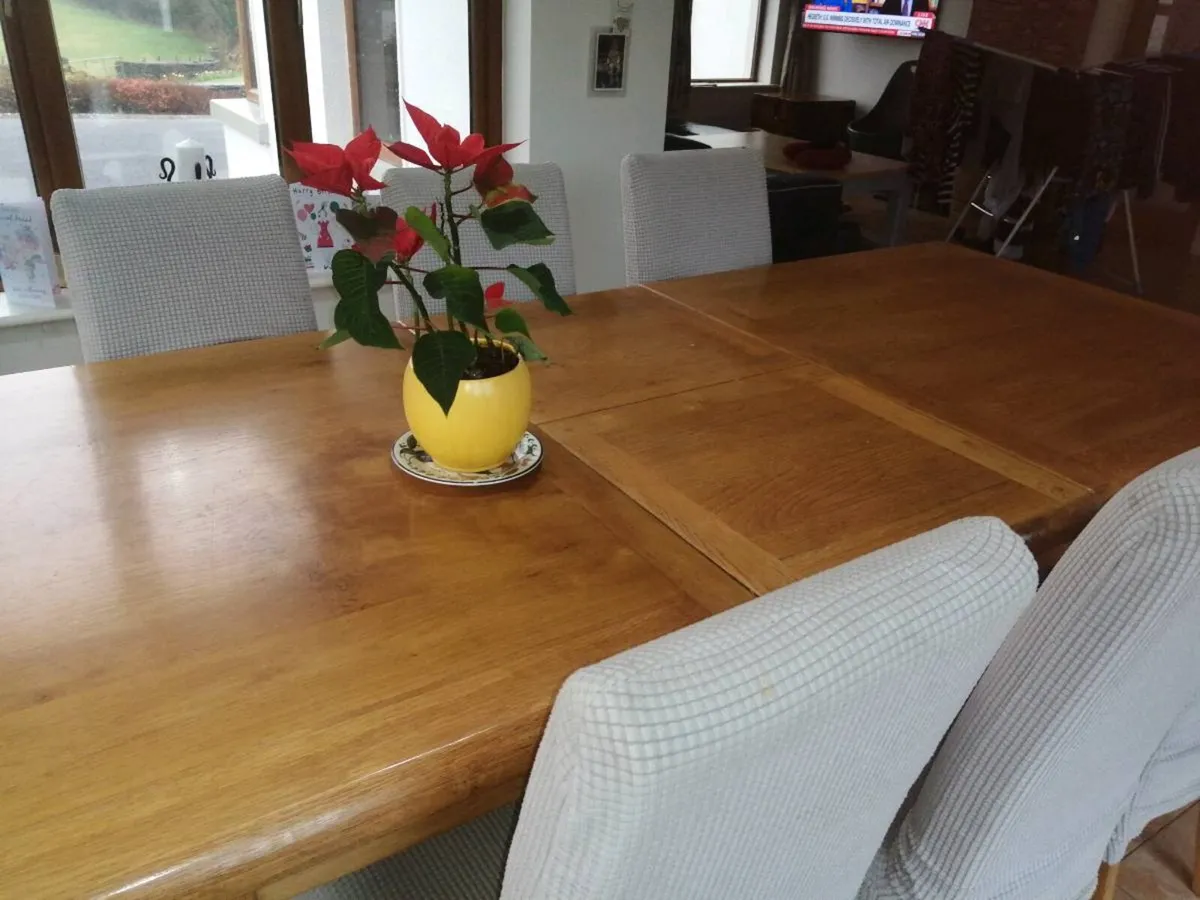 Oak dining chairs - Image 2