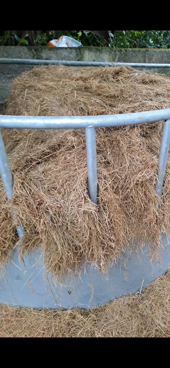 Top quality Bails of Silage - Image 4