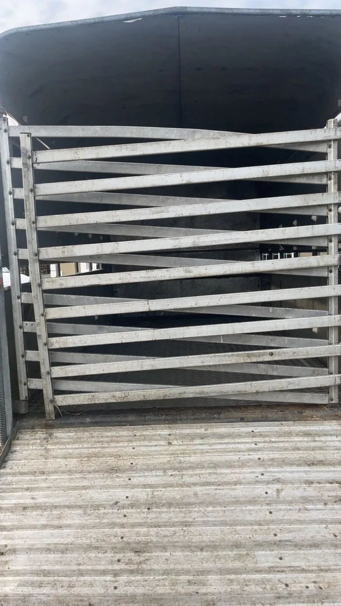 Cattle trailer - Image 2