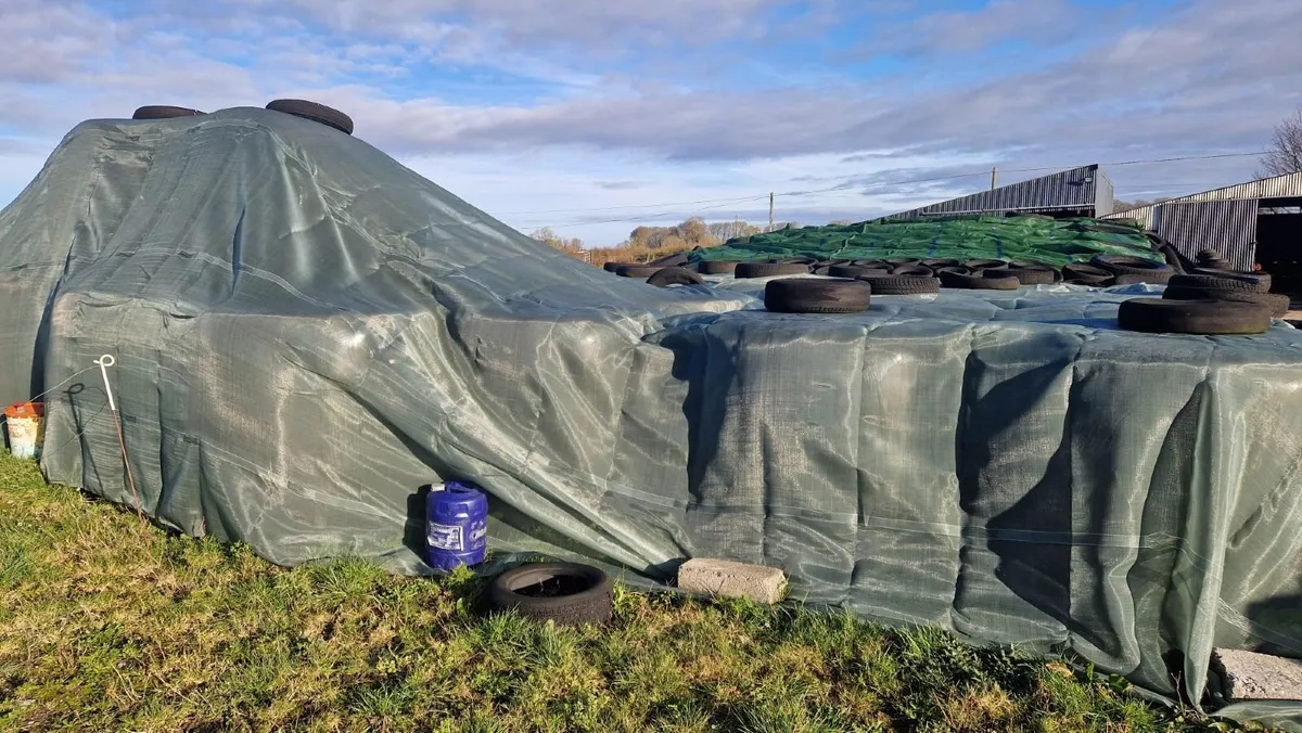 Silage Bales For Sale - Image 2