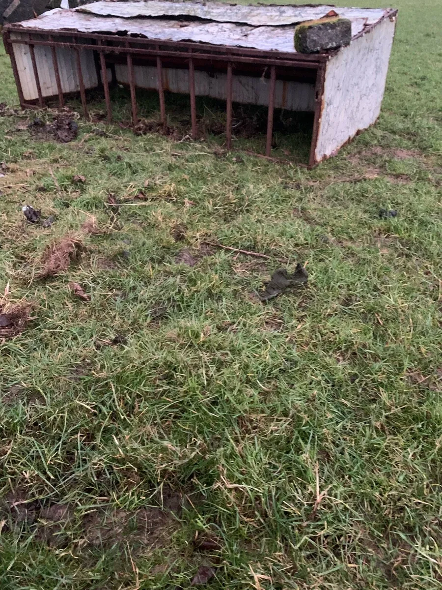 Lamb creep feeder - Image 1