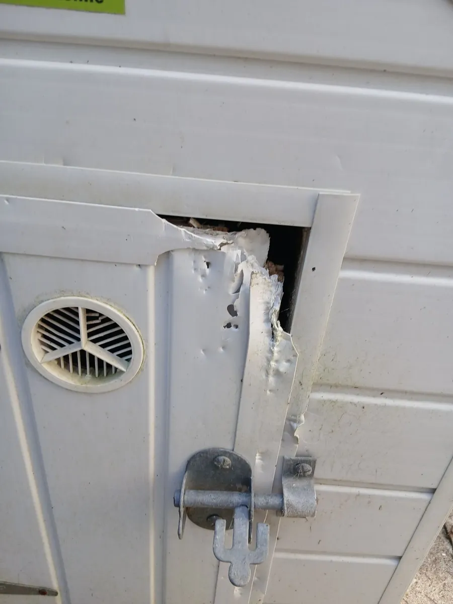 Dog Kennel - Image 4