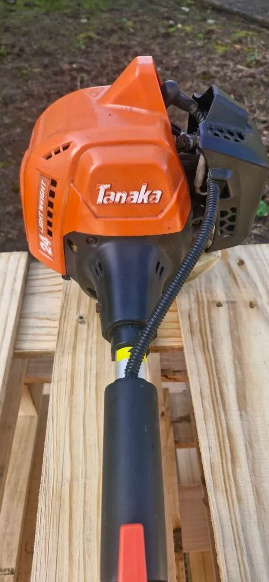 Tanaka Strimers - Image 1