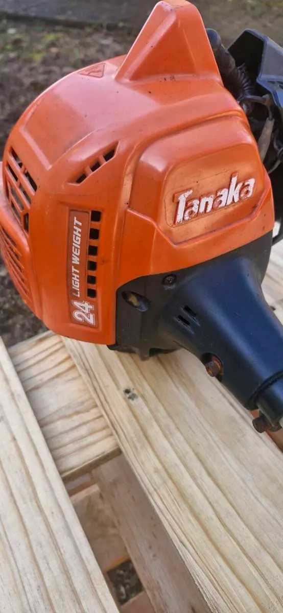 Tanaka Strimers - Image 4
