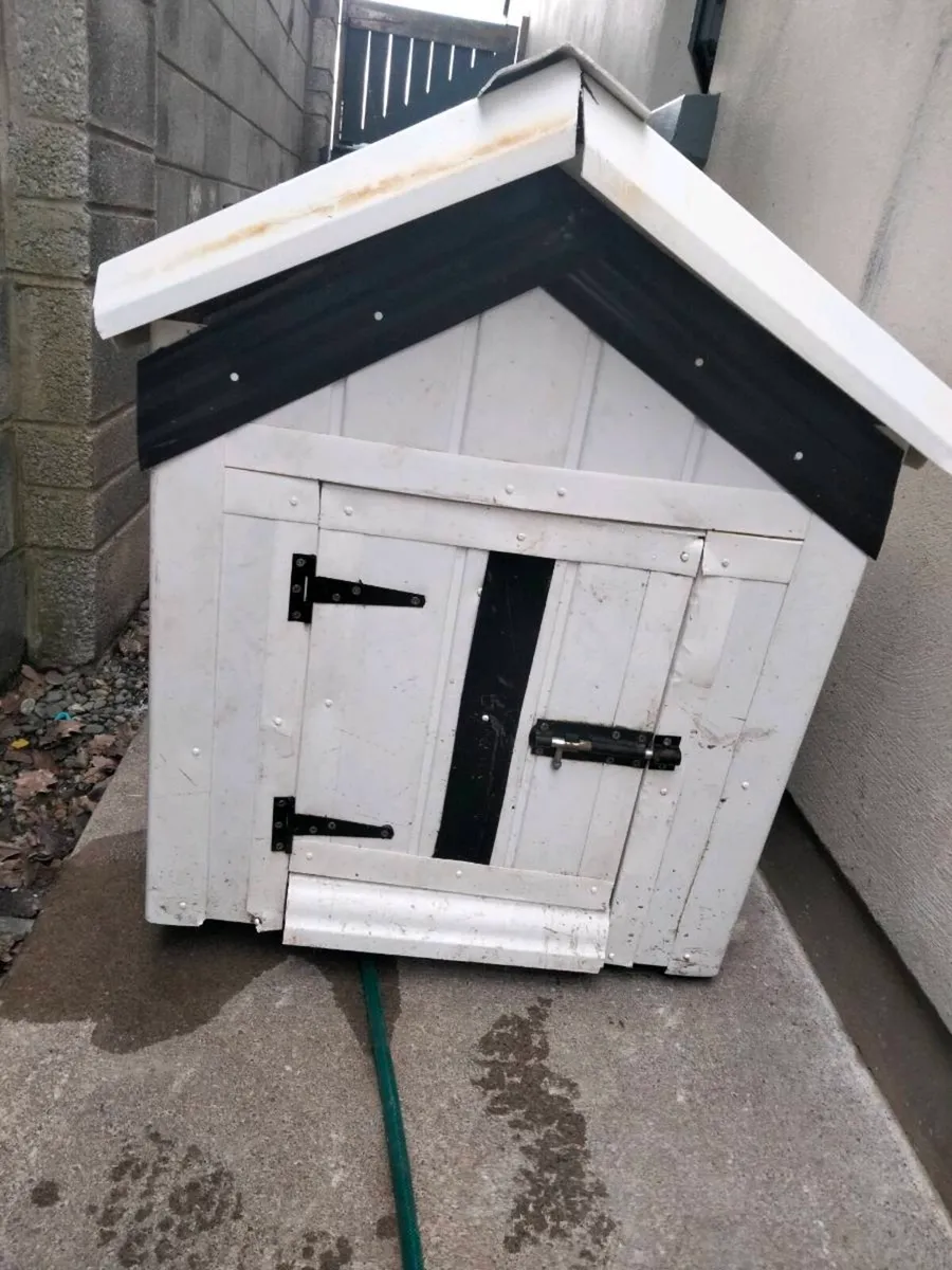 Dog box for sale
