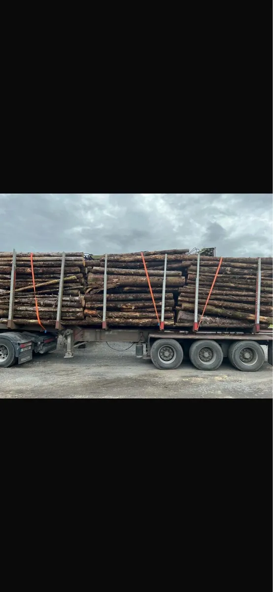 Firewood for sale Van & Artic Loads - Image 1