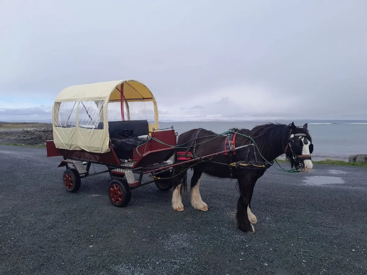 8 seater carriage - Image 1