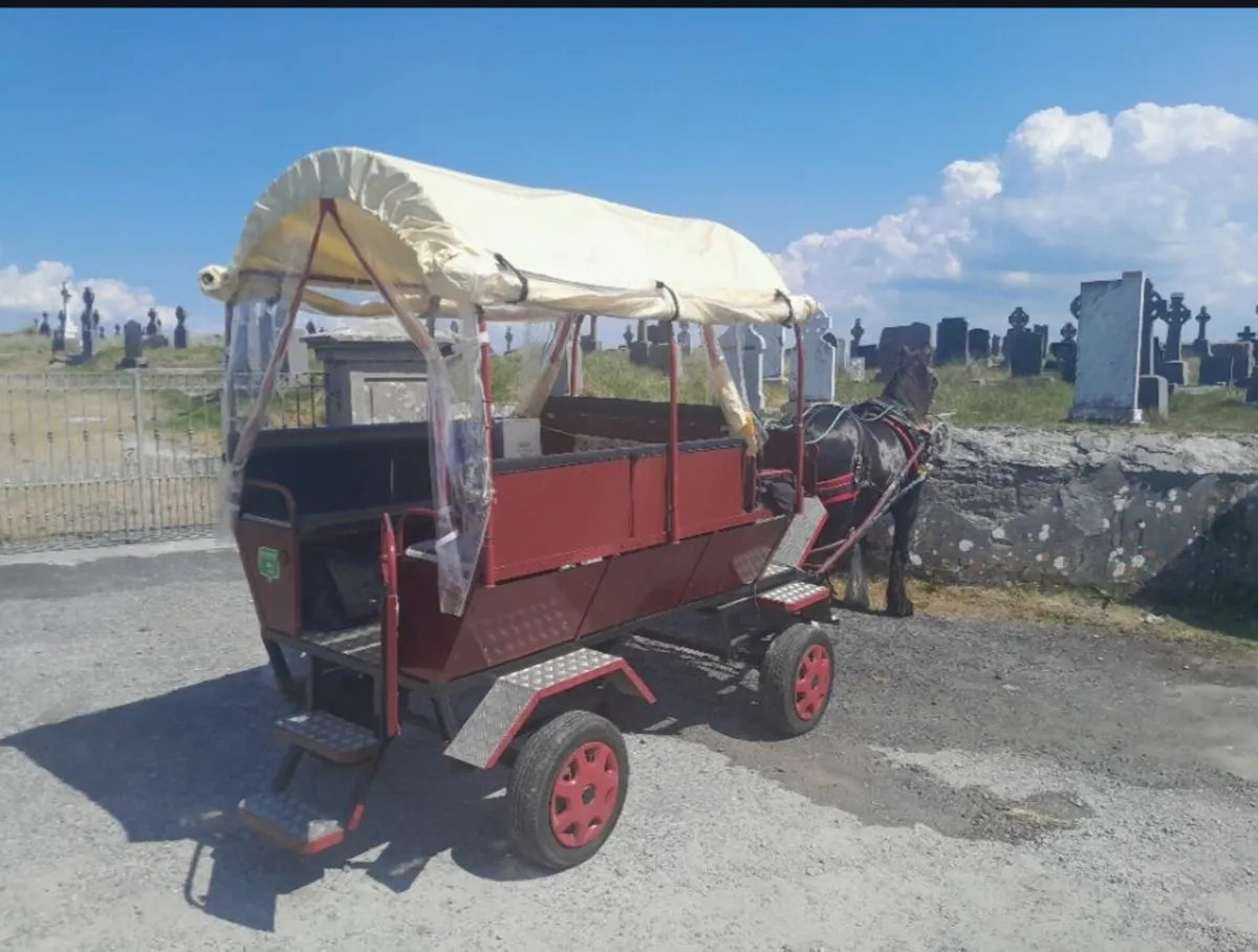 8 seater carriage - Image 2