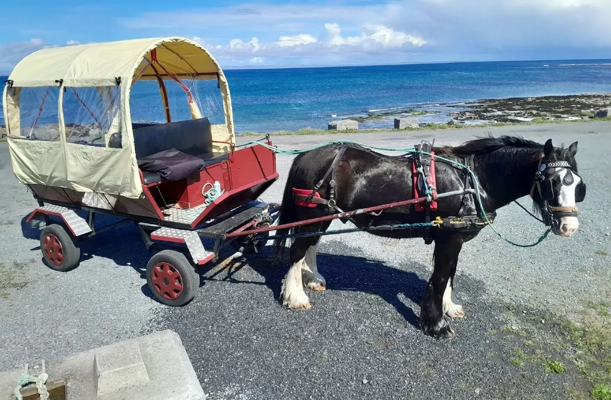 8 seater carriage - Image 3