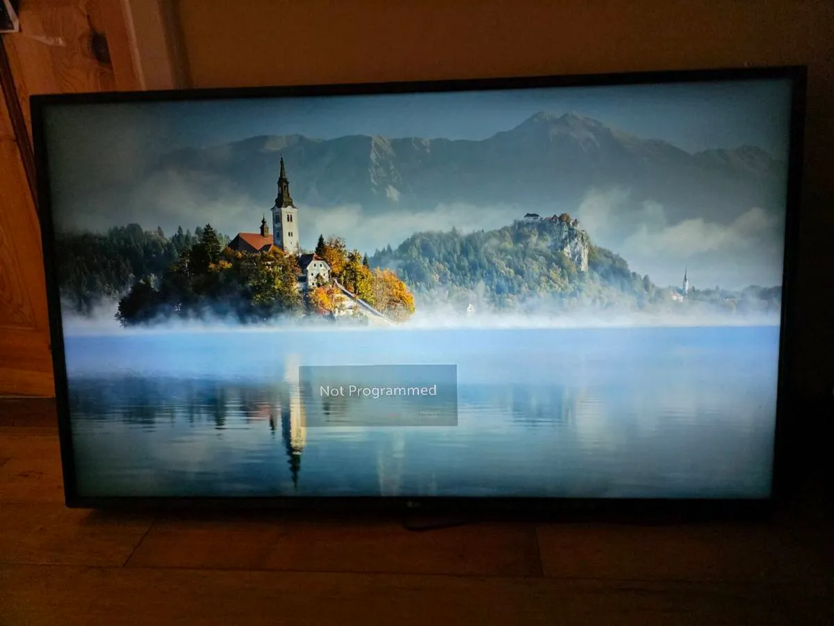 LG 49 inch tv - Image 2