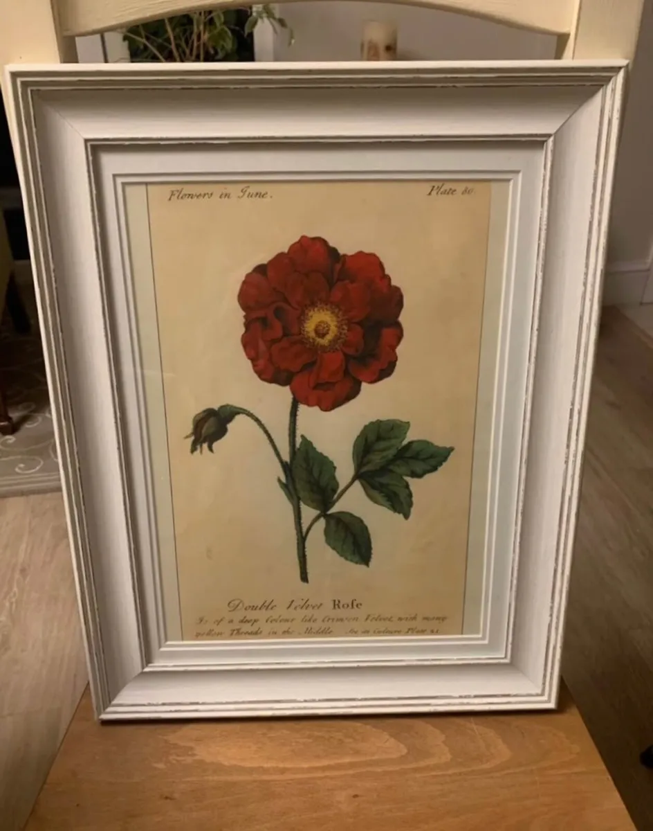 Framed Prints x 2 - Image 3