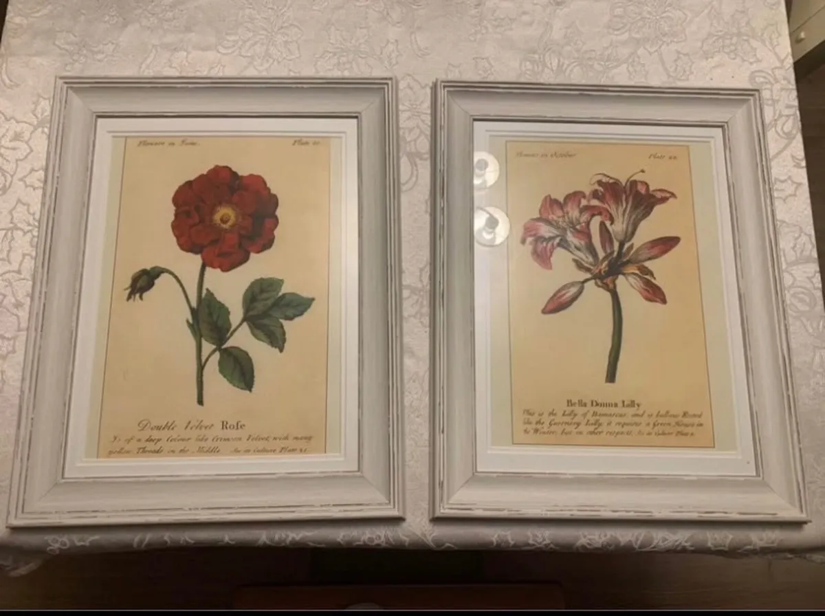 Framed Prints x 2 - Image 1