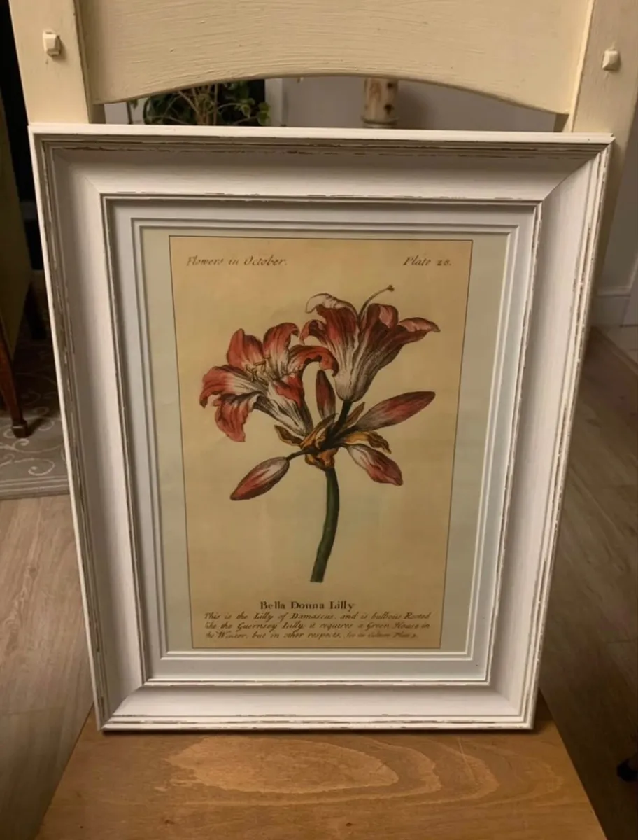 Framed Prints x 2 - Image 2