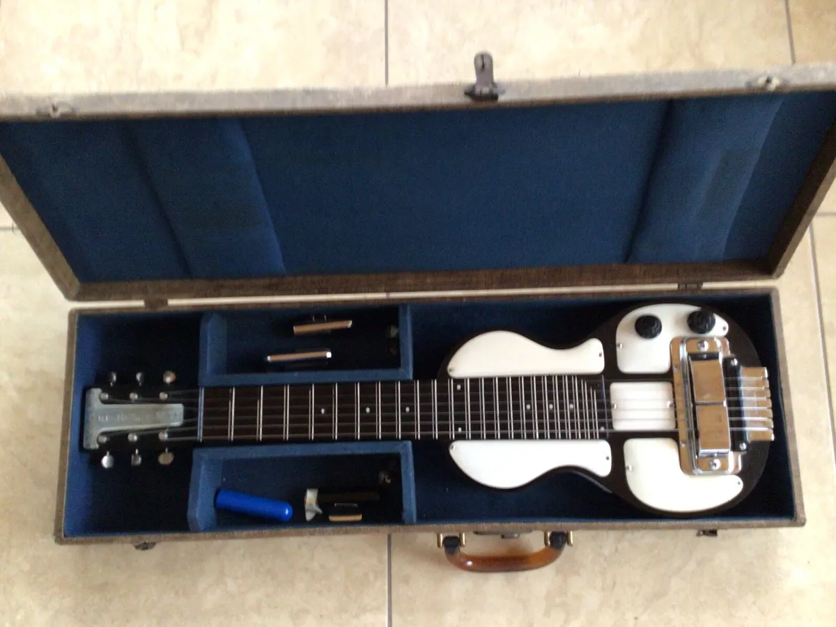 Rickenbacher Panda Lapsteel Guitar - Image 1