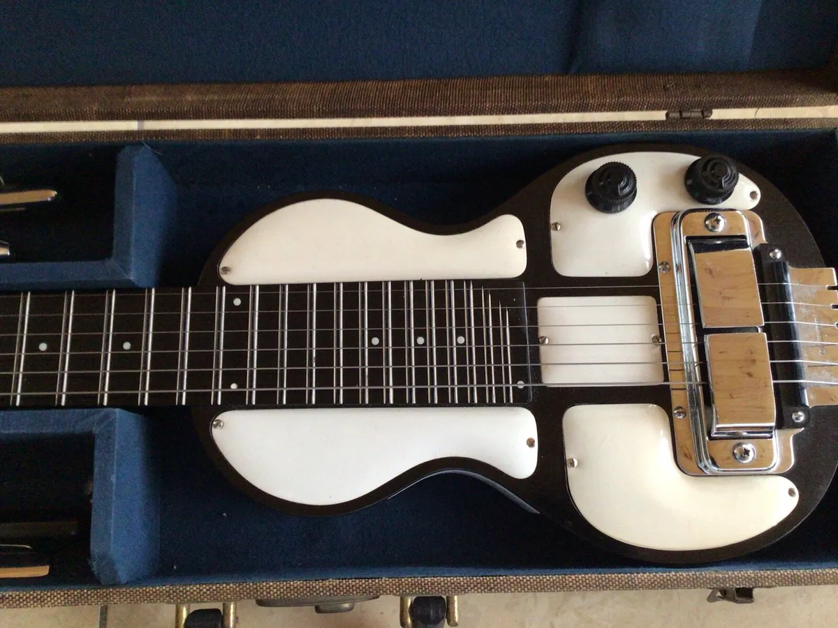 Rickenbacher Panda Lapsteel Guitar - Image 2