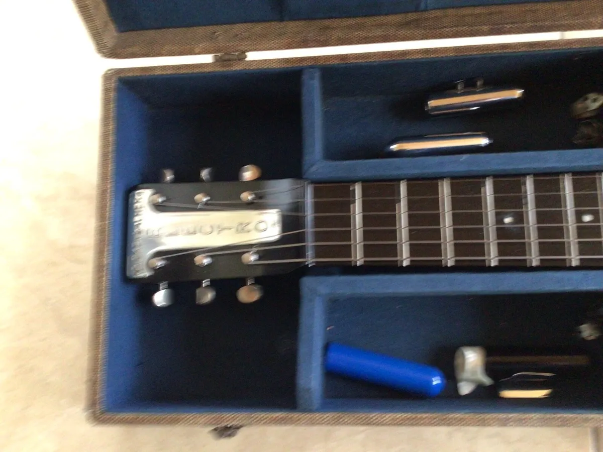 Rickenbacher Panda Lapsteel Guitar - Image 3