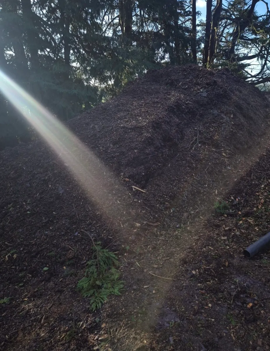 Bark mulch - Image 1